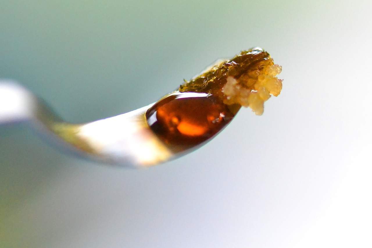 Cannabis Extracts: Just the Basics, Please - Haven