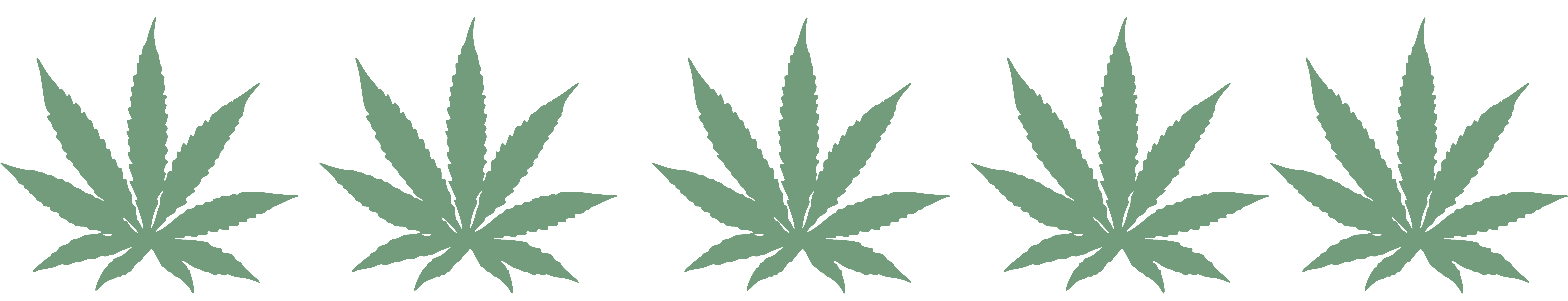 5 star cannabis rating