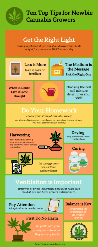 https://greenhopewellness.com/wp-content/uploads/2020/09/10-top-tips-for-growing-cannabis-410x1024.png