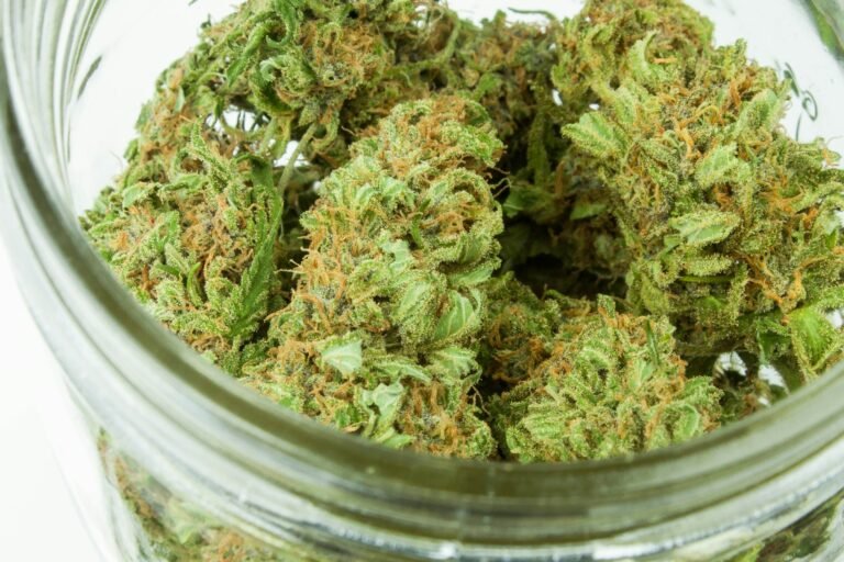 Medical Marijuana