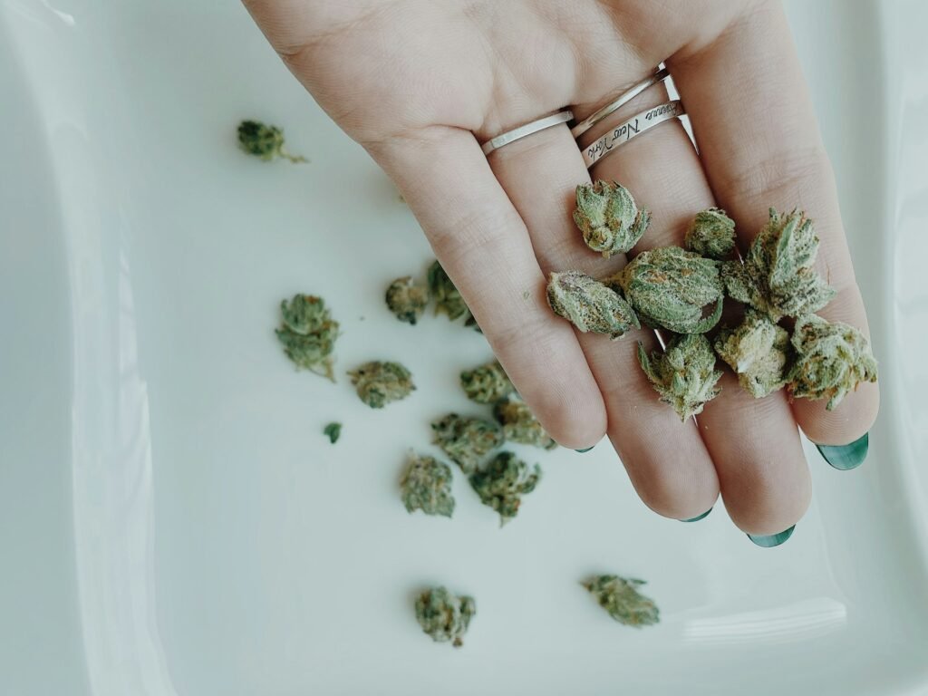 Medical Marijuana