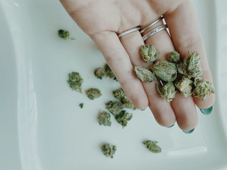 Medical Marijuana