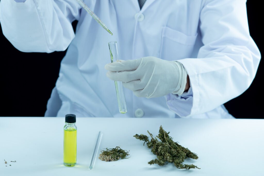 medical cannabis