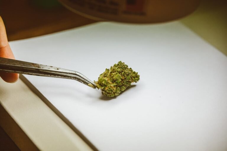 Medical Cannabis