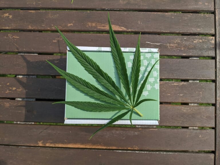 Marijuana Card