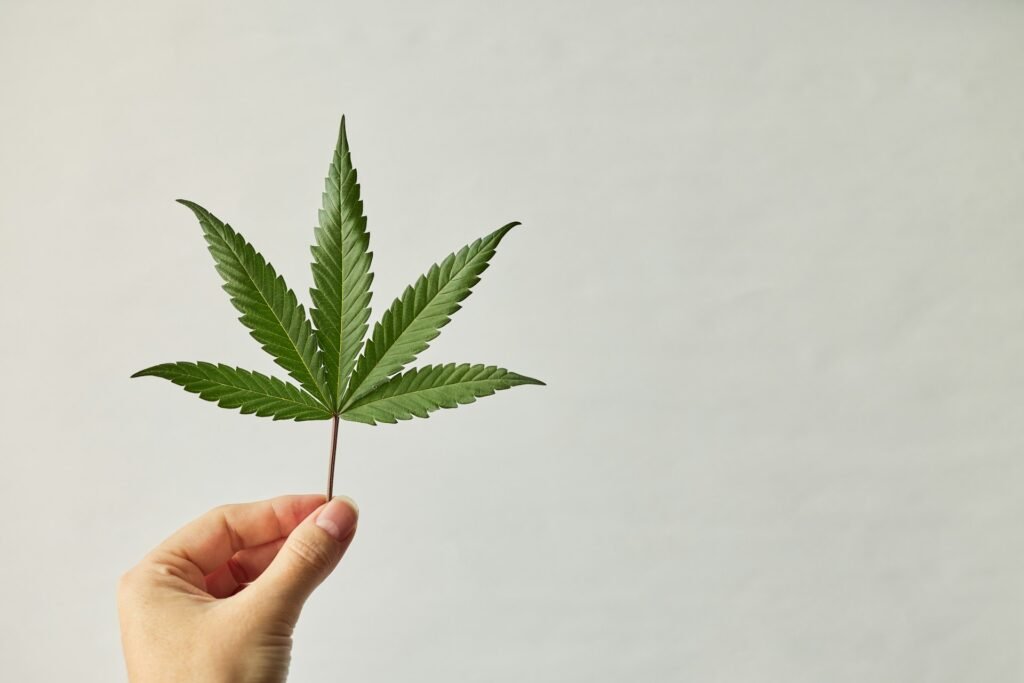 Marijuana Evaluation