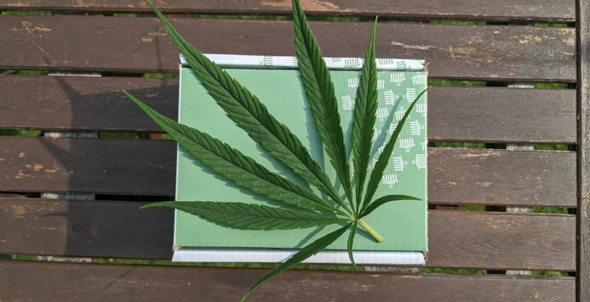 Marijuana Card