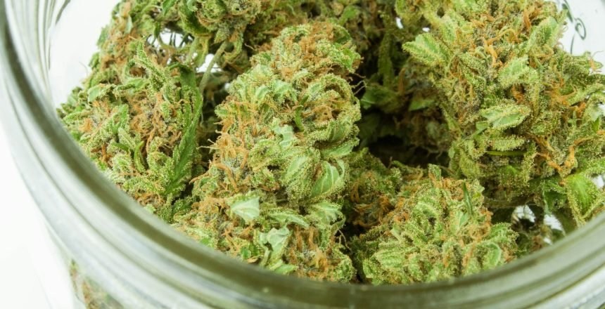 Medical Marijuana