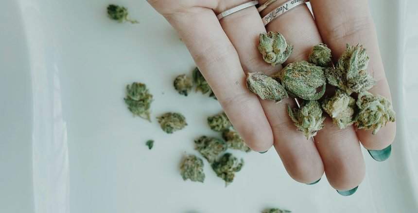 Medical Marijuana